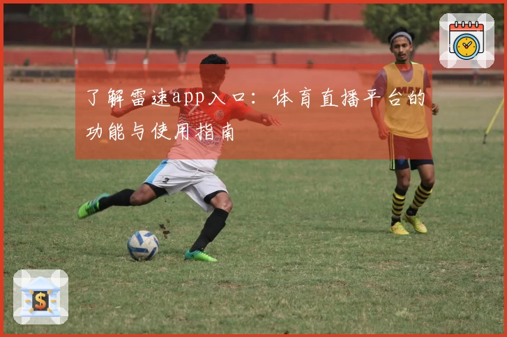 了解雷速app入口：体育直播平台的功能与使用指南
